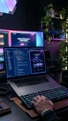 Web Tasarımı